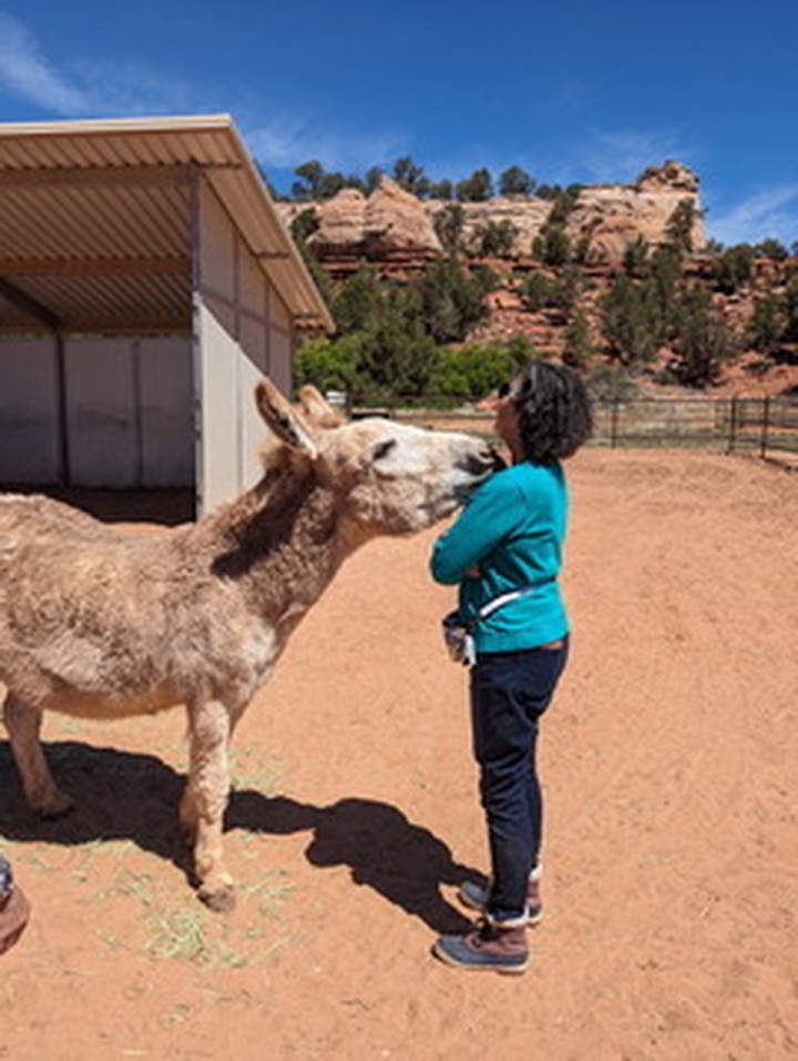 Anita St Lewis with a rescued donkey