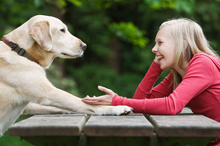 A blonde girl smiling at a yellow Labrador across a picnic table