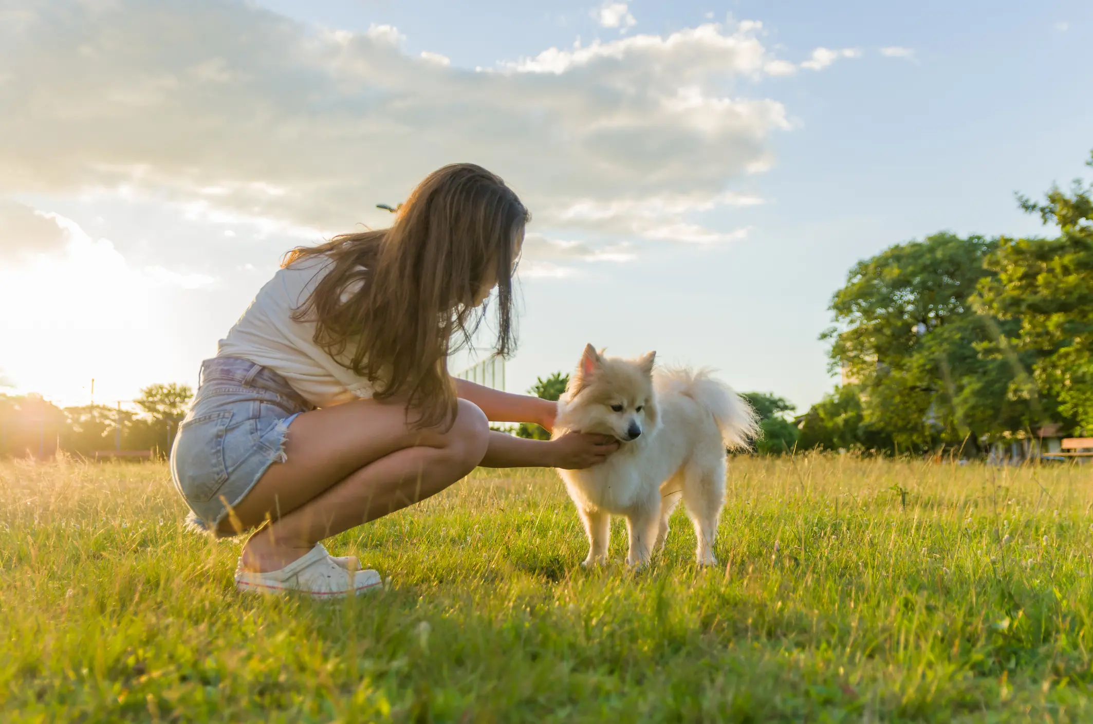 Girl petting dog in sunny park.