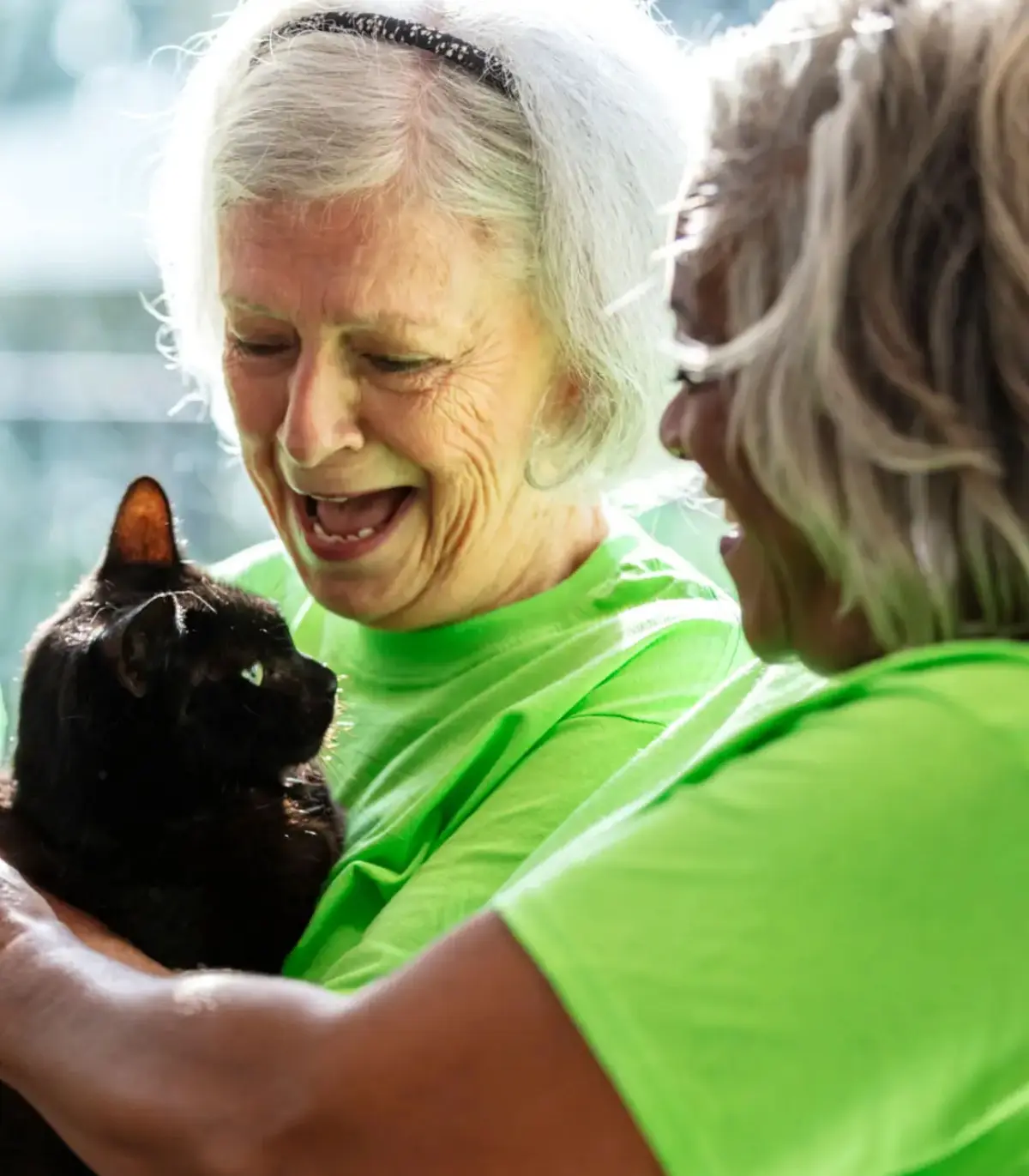 Healing Hearts Sanctuary Socal