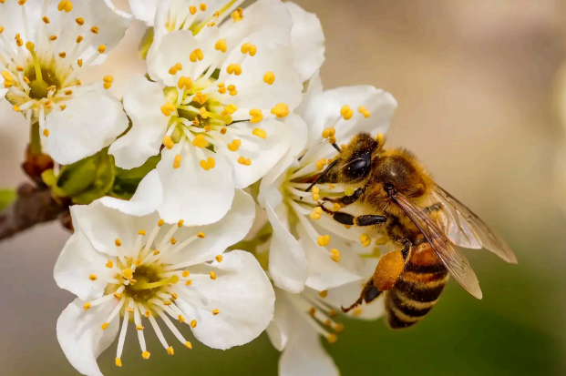 Screenshot 2025-12-26 085019