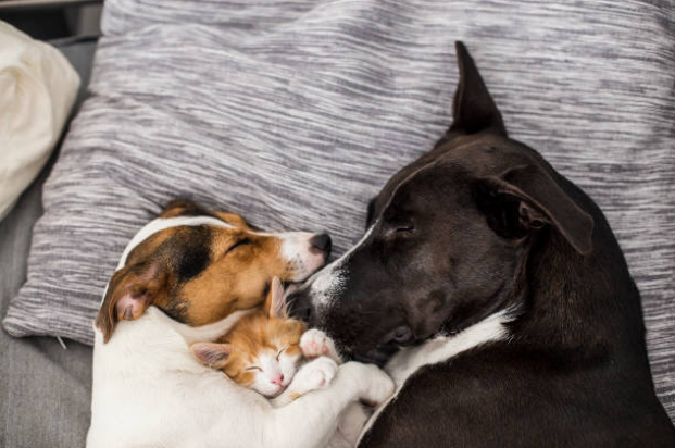 Screenshot 2025-12-26 085849