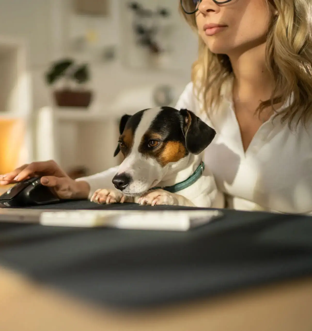 f959fb22-b0de-48ae-b8ea-0bb13723ba7e