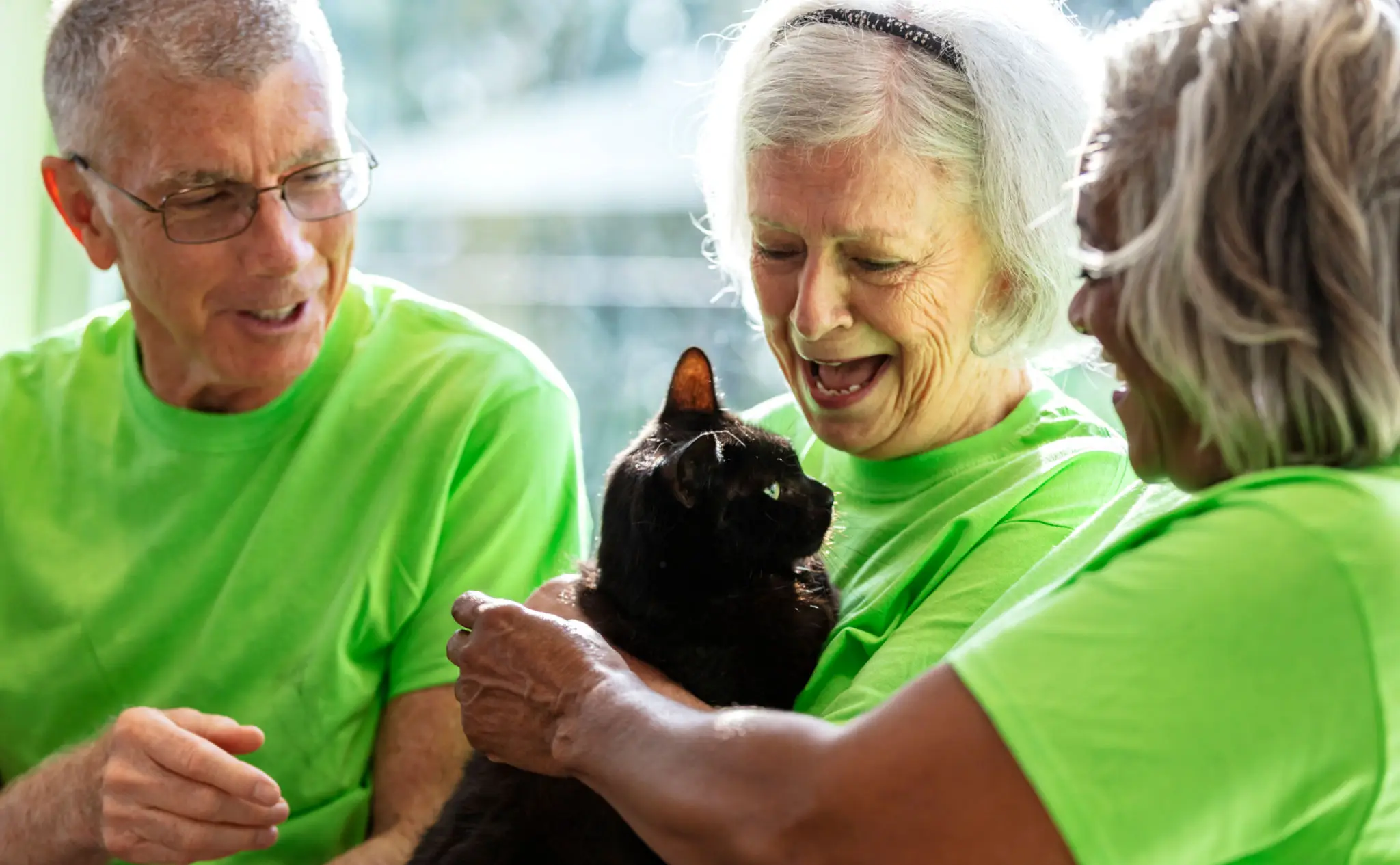 Healing Hearts Sanctuary Socal