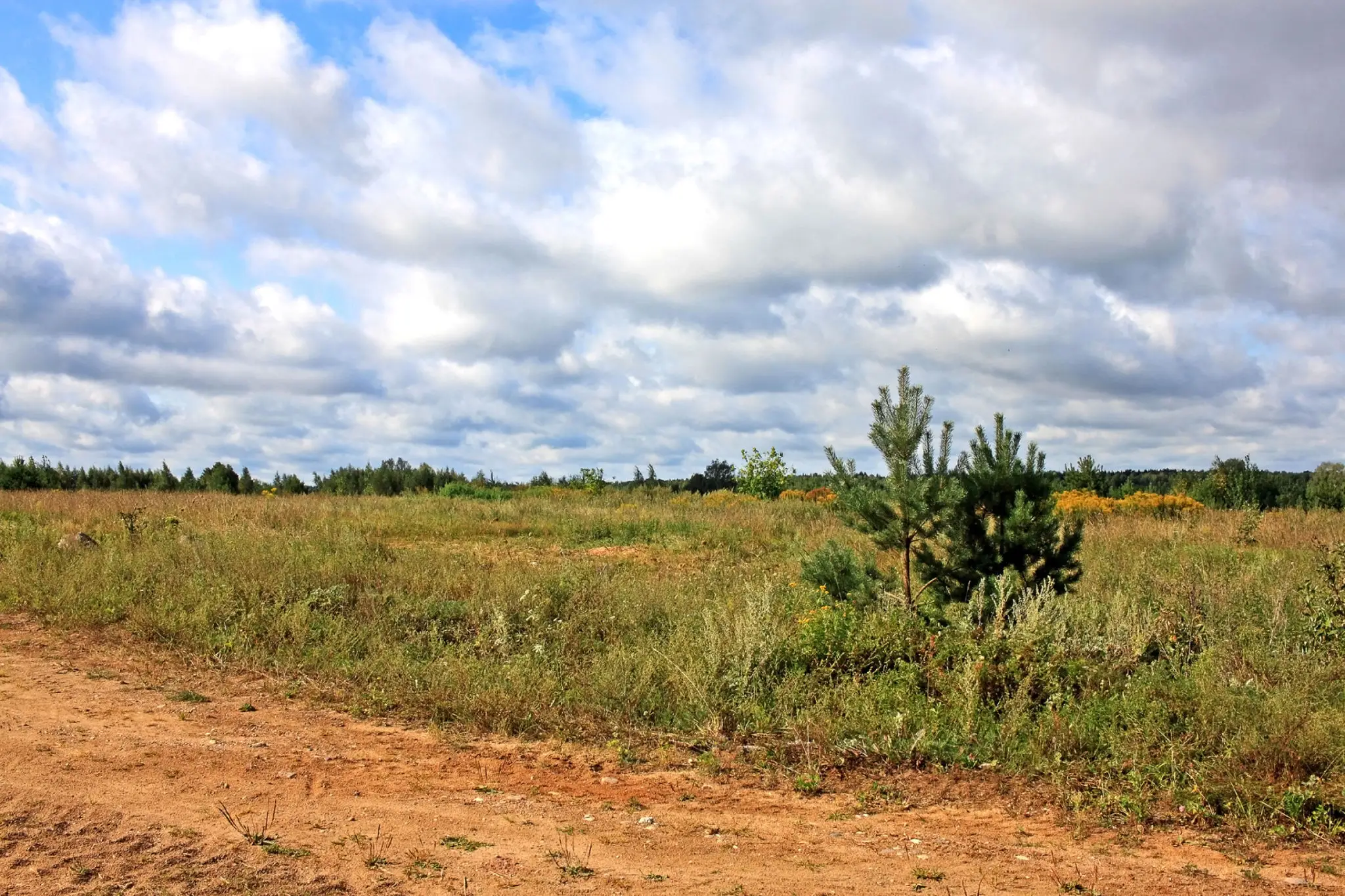 111d68ba-f2a5-4826-a963-a88eecc701ea