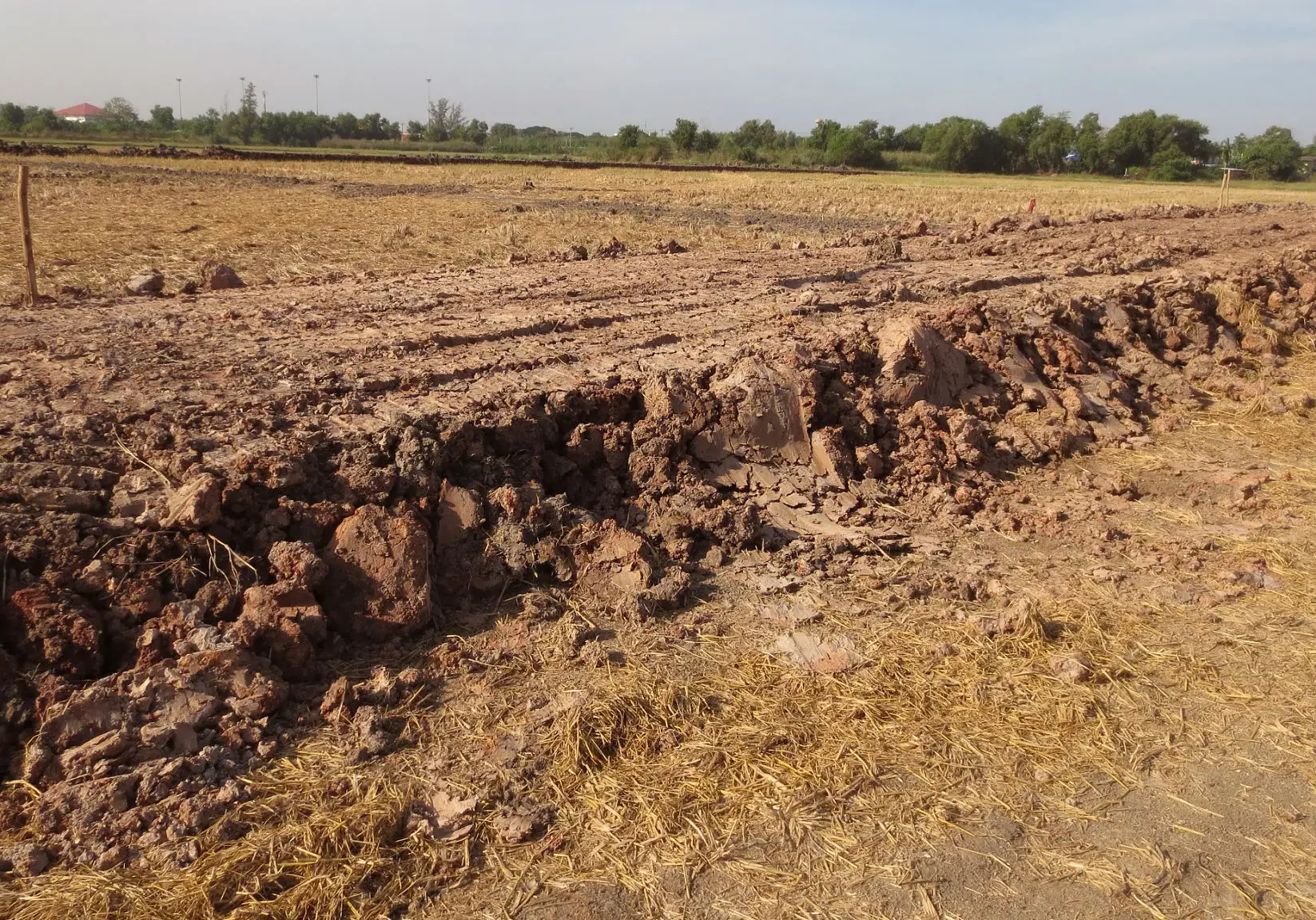 a1695ce4-833d-48aa-828a-6c0d607e180b